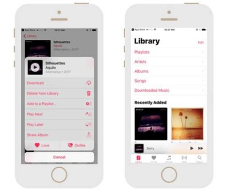 Can You Listen to Apple Music Offline? A Detailed Exploration of Offline Listening on Apple Music Platform